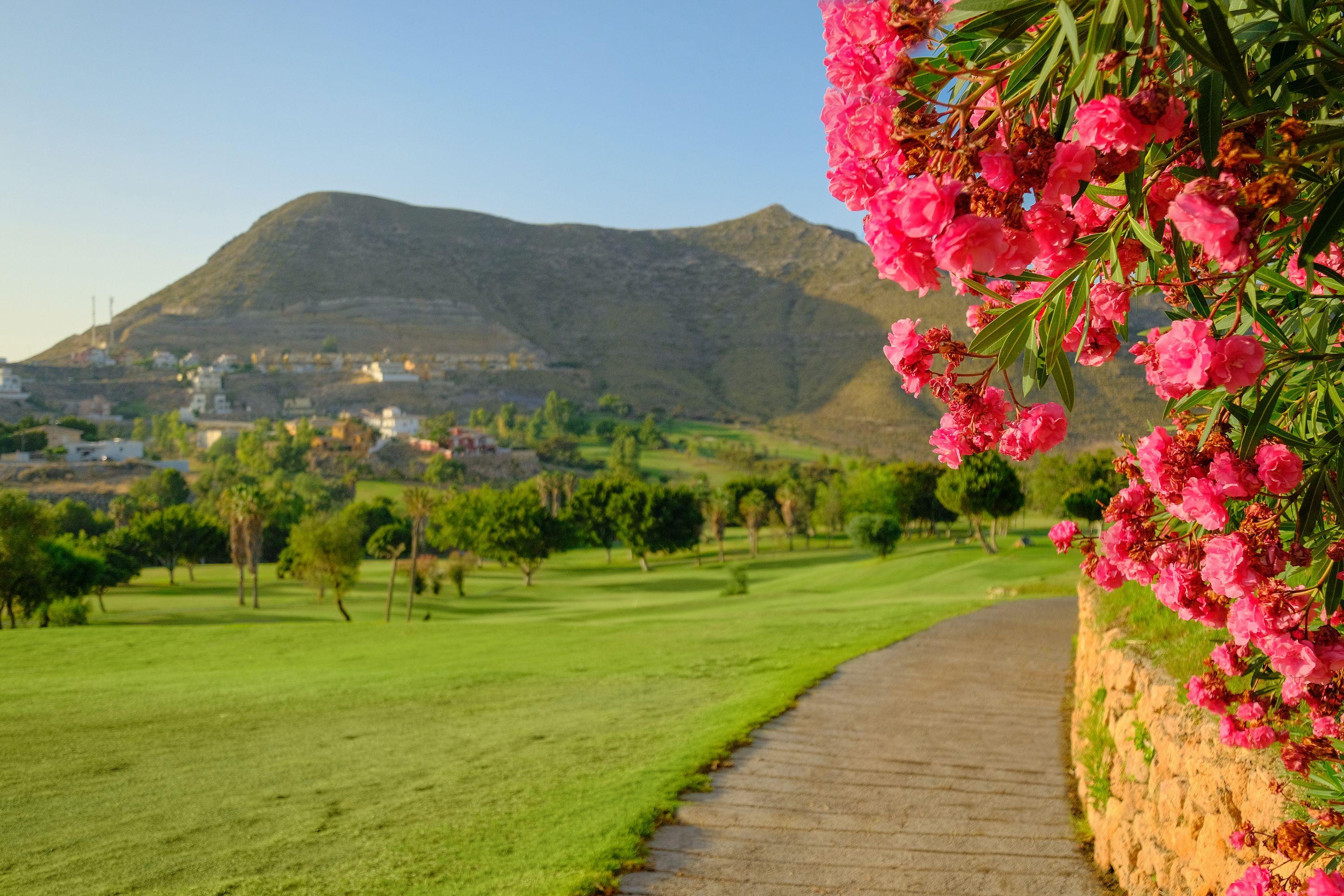 Hotel Envia Almeria Spa & Golf Aguadulce  Eksteriør billede View of the Sierra de Callosa